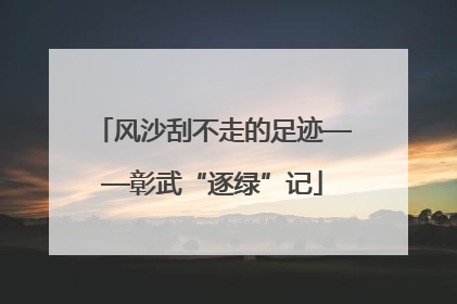 风沙刮不走的足迹——彰武“逐绿”记