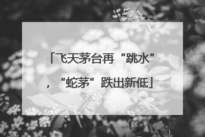 飞天茅台再“跳水”，“蛇茅”跌出新低