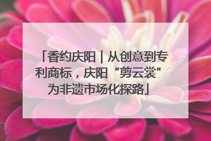 香约庆阳｜从创意到专利商标，庆阳“剪云裳”为非遗市场化探路