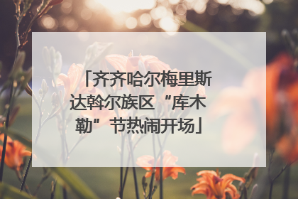 齐齐哈尔梅里斯达斡尔族区“库木勒”节热闹开场