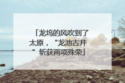 龙坞的风吹到了太原，“龙池古井”斩获两项殊荣