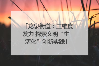 龙泉街道：三维度发力 探索文明“生活化”创新实践