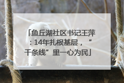 鱼丘湖社区书记王萍：14年扎根基层，“千条线”里一心为民