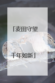 麦田守望 千年如新
