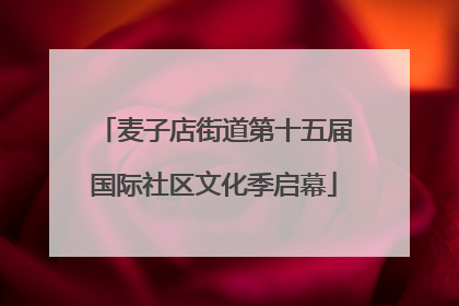 麦子店街道第十五届国际社区文化季启幕
