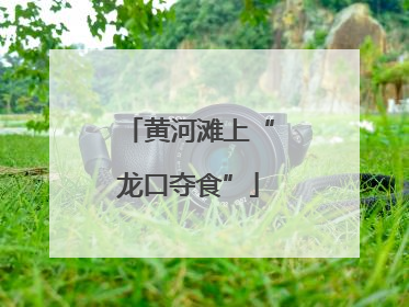 黄河滩上“龙口夺食”