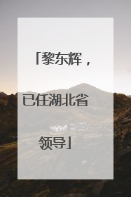 黎东辉，已任湖北省领导