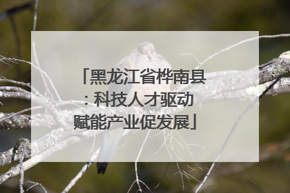 黑龙江省桦南县：科技人才驱动 赋能产业促发展
