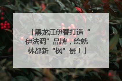 黑龙江伊春打造“伊法调”品牌，绘就林都新“枫”景！