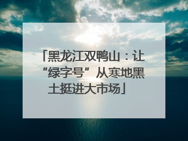 黑龙江双鸭山：让“绿字号”从寒地黑土挺进大市场