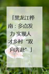 黑龙江桦南：多点发力 实现人才乡村“双向奔赴”