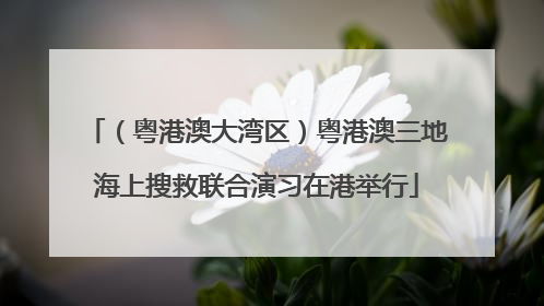 （粤港澳大湾区）粤港澳三地海上搜救联合演习在港举行