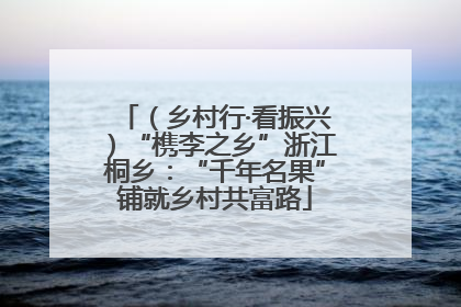 （乡村行·看振兴）“槜李之乡”浙江桐乡：“千年名果”铺就乡村共富路