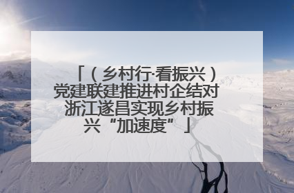 （乡村行·看振兴）党建联建推进村企结对 浙江遂昌实现乡村振兴“加速度”