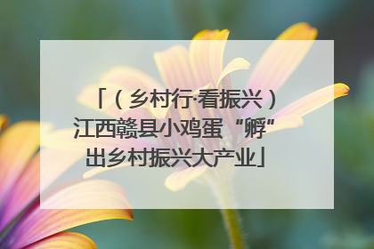 （乡村行·看振兴）江西赣县小鸡蛋“孵”出乡村振兴大产业