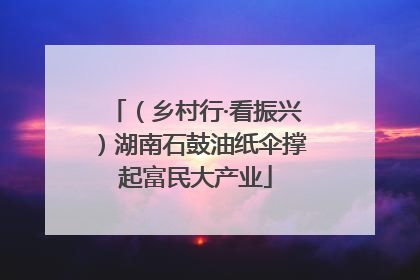 （乡村行·看振兴）湖南石鼓油纸伞撑起富民大产业