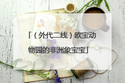 （外代二线）欧宝动物园的非洲象宝宝