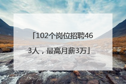 102个岗位招聘463人，最高月薪3万