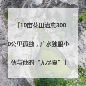 10亩花田治愈3000公里孤独，广水独眼小伙与他的“无尽夏”