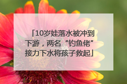 10岁娃落水被冲到下游，两名“钓鱼佬”接力下水将孩子救起
