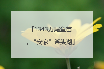 1343万尾鱼苗，“安家”斧头湖