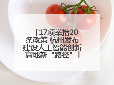 17项举措20条政策 杭州发布建设人工智能创新高地新“路径”