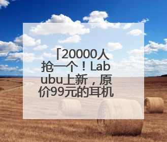 20000人抢一个！Labubu上新，原价99元的耳机包上架秒空
