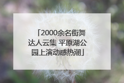 2000余名街舞达人云集 平原湖公园上演动感热潮