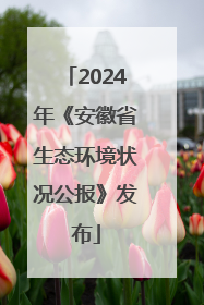 2024年《安徽省生态环境状况公报》发布