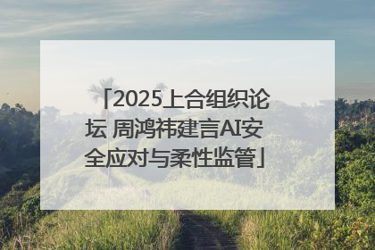 2025上合组织论坛 周鸿祎建言AI安全应对与柔性监管