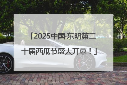 2025中国·东明第二十届西瓜节盛大开幕！