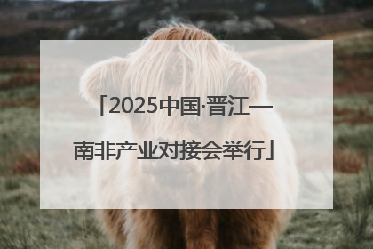 2025中国·晋江—南非产业对接会举行