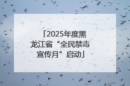 2025年度黑龙江省“全民禁毒宣传月”启动
