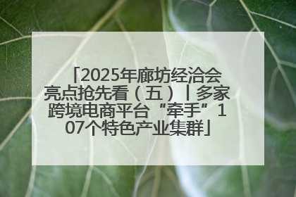 2025年廊坊经洽会亮点抢先看（五）丨多家跨境电商平台“牵手”107个特色产业集群