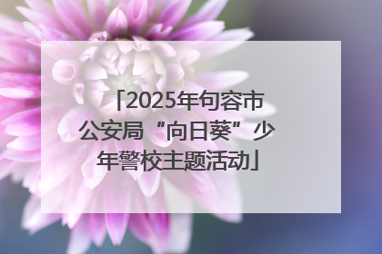 2025年句容市公安局“向日葵”少年警校主题活动