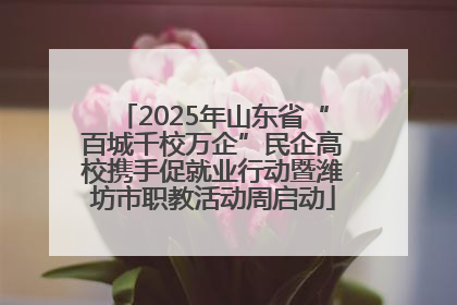 2025年山东省“百城千校万企”民企高校携手促就业行动暨潍坊市职教活动周启动