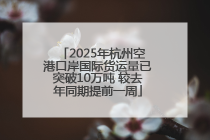 2025年杭州空港口岸国际货运量已突破10万吨 较去年同期提前一周