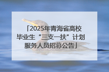 2025年青海省高校毕业生“三支一扶”计划服务人员招募公告