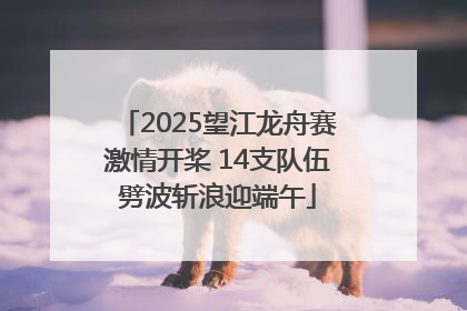 2025望江龙舟赛激情开桨 14支队伍劈波斩浪迎端午