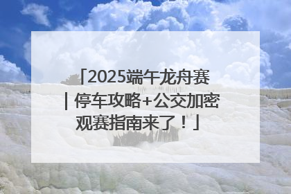 2025端午龙舟赛｜停车攻略+公交加密 观赛指南来了！