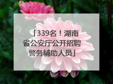 339名！湖南省公安厅公开招聘警务辅助人员
