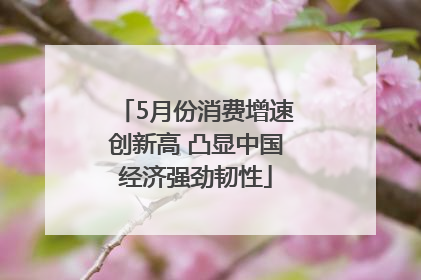 5月份消费增速创新高 凸显中国经济强劲韧性