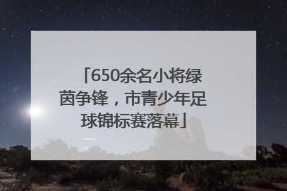 650余名小将绿茵争锋，市青少年足球锦标赛落幕