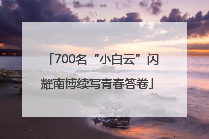 700名“小白云”闪耀南博续写青春答卷