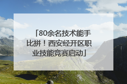 80余名技术能手比拼！西安经开区职业技能竞赛启动