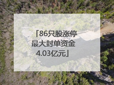 86只股涨停 最大封单资金4.03亿元