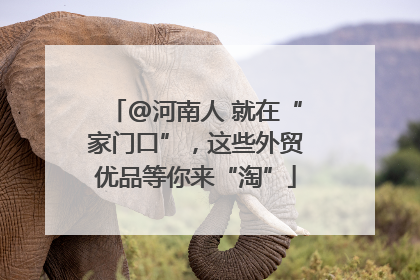 @河南人 就在“家门口”，这些外贸优品等你来“淘”