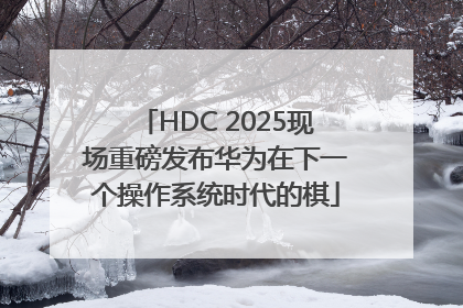 HDC 2025现场重磅发布华为在下一个操作系统时代的棋