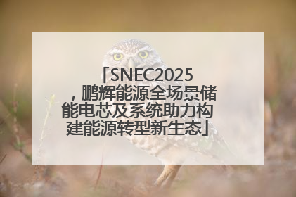 SNEC2025，鹏辉能源全场景储能电芯及系统助力构建能源转型新生态